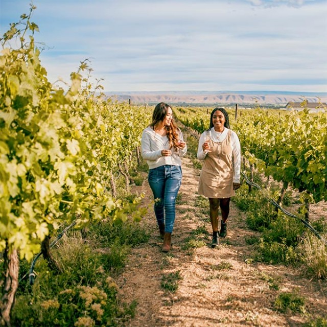 Touring a vineyard in Yakima Valley, Washington