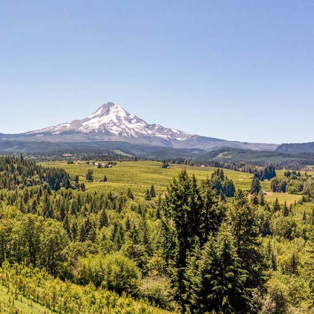 Aerial view of organic farms and Mount Hood, Oregon