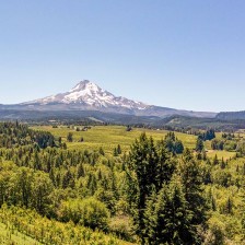 Aerial view of organic farms and Mount Hood, Oregon