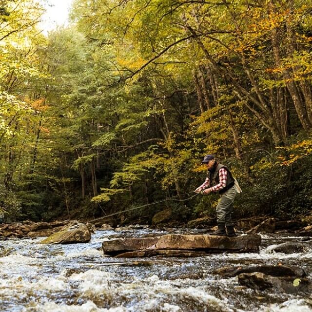 Fly-fishing outing in West Virginia