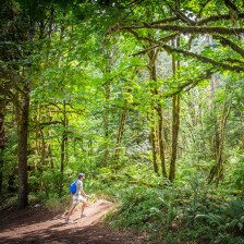 Hiking in Tillamook State Forest in Tualatin Valley, Oregon