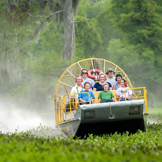 Taking an airboat tour of a Louisiana swamp