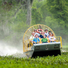 Taking an airboat tour of a Louisiana swamp