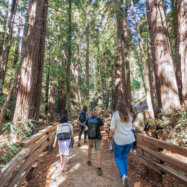 Hiking the Pfeiffer Falls Trail in Big Sur, California