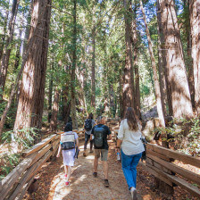 Hiking the Pfeiffer Falls Trail in Big Sur, California