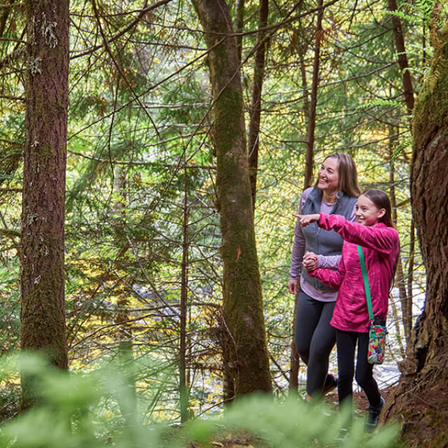 Hiking through the Cascade Range in Oakridge, Oregon
