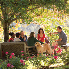 Attending a wine tasting in Oregon's Tualatin Valley