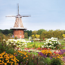 Blooms in Holland, Michigan's Windmill Island Gardens