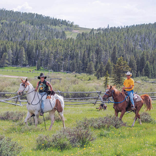 Horseback riding at Buffalo Paradise Guest Ranch in Buffalo, Wyoming