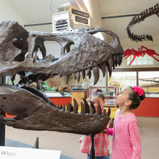 Viewing paleontology displays at the Carter County Museum in Ekalaka, Montana