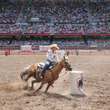 Riding a horse at Cheyenne Frontier Days in Cheyenne, Wyoming