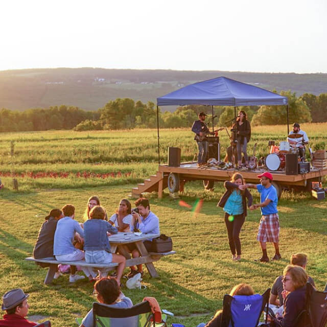 Entertainment in the orchard at South Hill Cider in Ithaca, New York