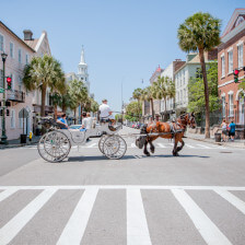 A horse-drawn carriage ride through Charleston, South Carolina
