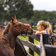 Petting a foal on a Lexington, Kentucky horse farm