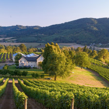 Aerial view of David Hill Vineyards and Winery in Forest Grove, Oregon