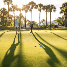 Golfing beneath palm trees on Florida's Sports Coast