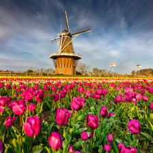 Windmill Island Gardens in Holland, Michigan