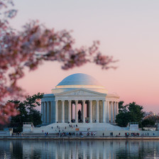 Cherry blossoms outside the Jefferson Memorial in Washington, D.C.