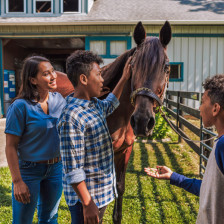 Interacting with a horse at the Kentucky Horse Park in Lexington, Kentucky