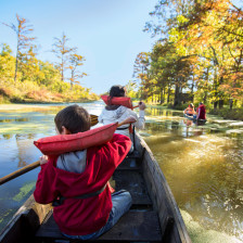 Leisurely canoeing on the Cache River in southern Illinois