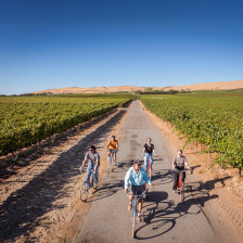 Biking through a vineyard in Tri-Cities, Washington